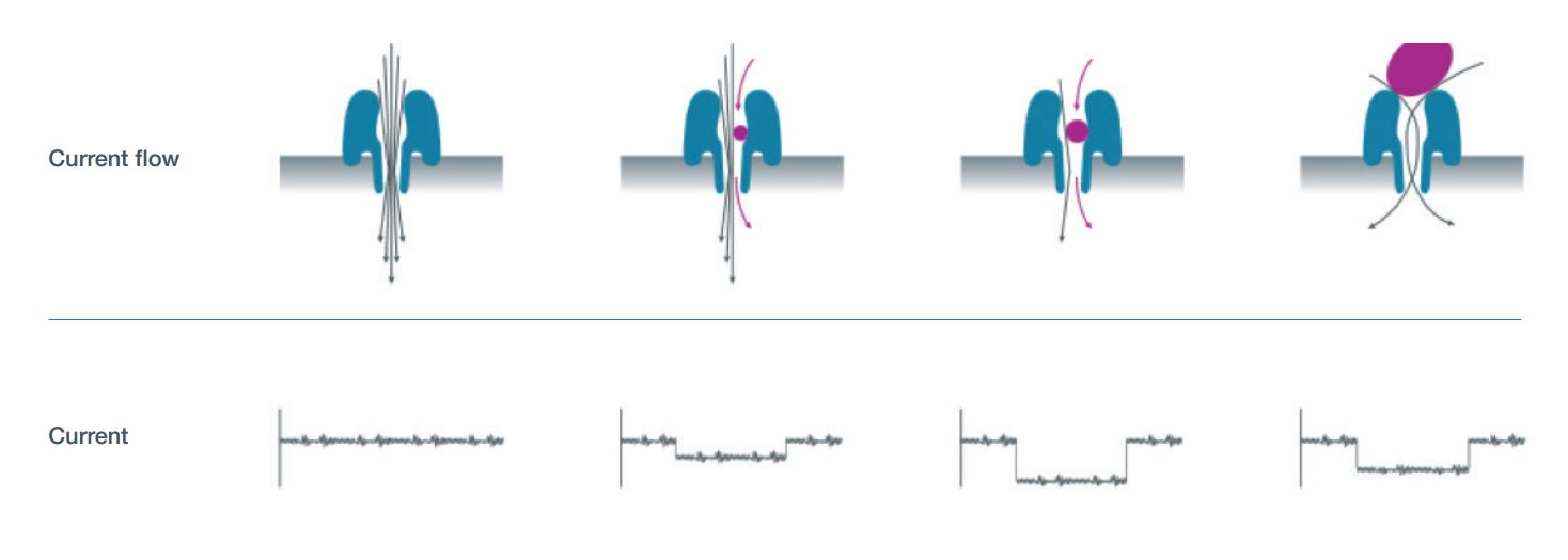 Nanopore Sensing How It Works